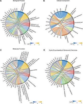 Construction of a fatty acid metabolism-related gene signature for predicting prognosis and immune response in breast cancer